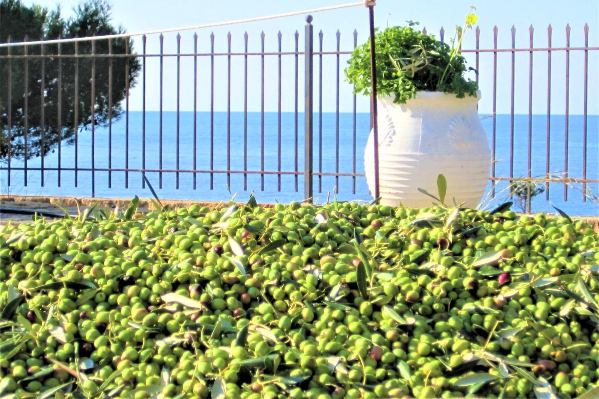 Mondo Cosseri Villa Rossa-Dorothea And Mondo Cosseri Villa Rossa-Penelope, With Own Shared Pool 里科索翁 客房 照片